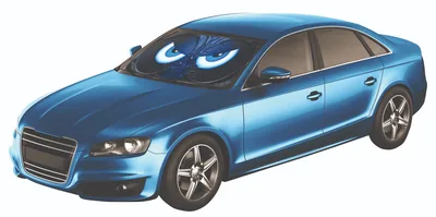 מגן שמש עינים